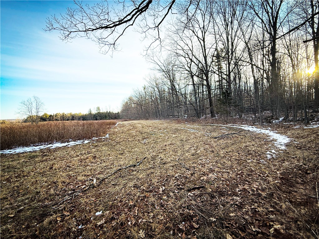 V/l-1 Lodi Center Road Lodi, NY 14860 - Photo 29 of 50