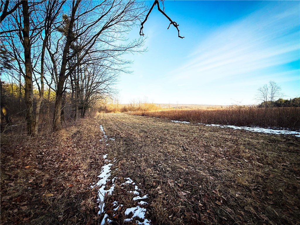 V/l-1 Lodi Center Road Lodi, NY 14860 - Photo 31 of 50