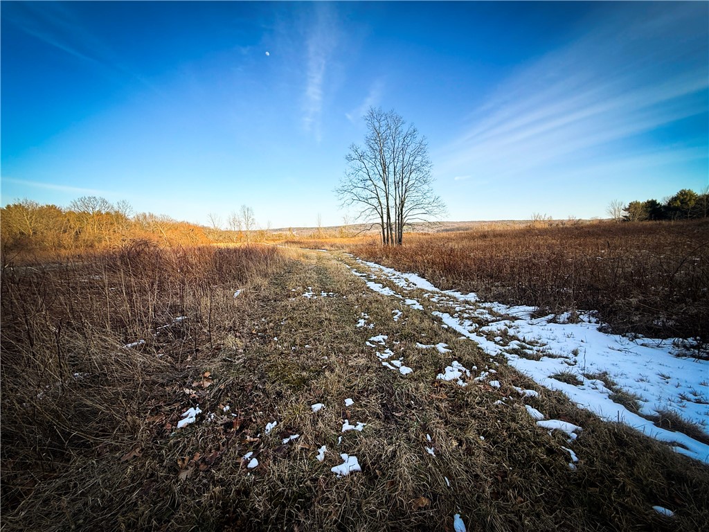 V/l-1 Lodi Center Road Lodi, NY 14860 - Photo 33 of 50