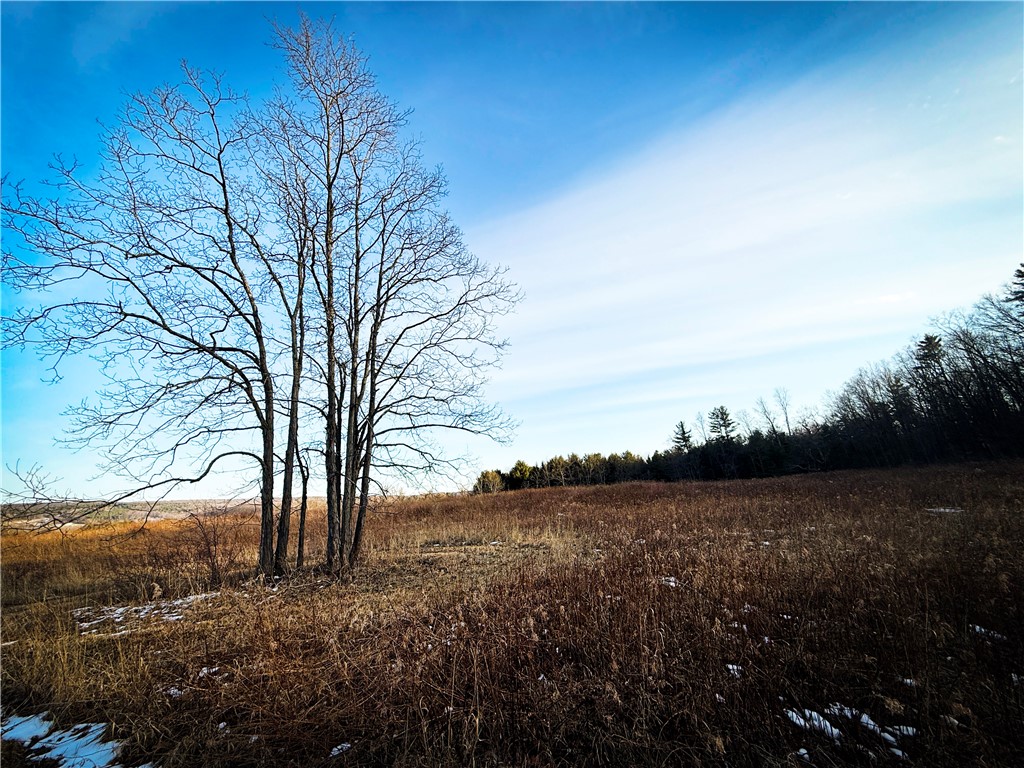 V/l-1 Lodi Center Road Lodi, NY 14860 - Photo 34 of 50