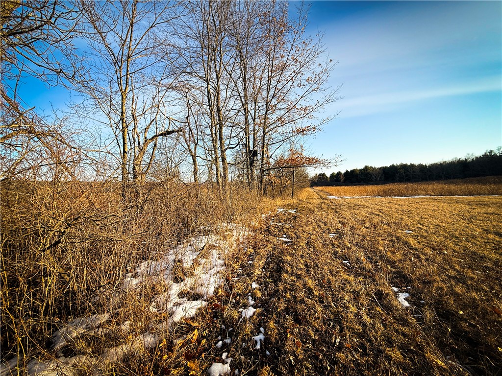 V/l-1 Lodi Center Road Lodi, NY 14860 - Photo 35 of 50