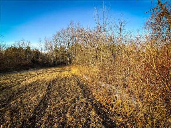 $199,900 | V/l-1 Lodi Center Road, Lodi, NY 14860