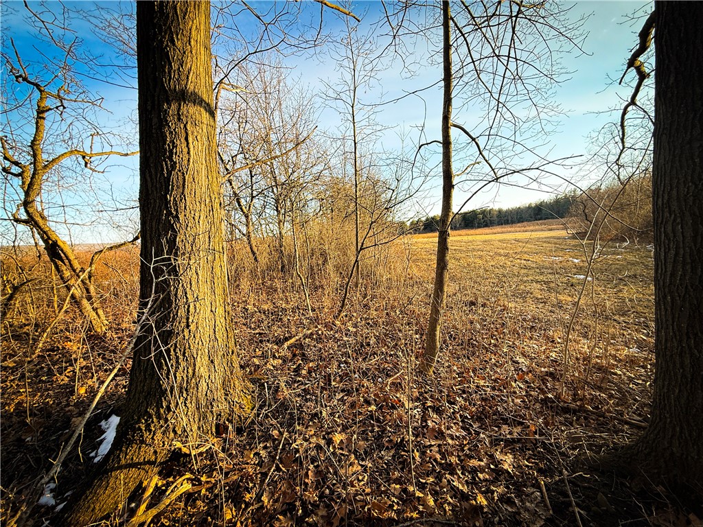 V/l-1 Lodi Center Road Lodi, NY 14860 - Photo 37 of 50