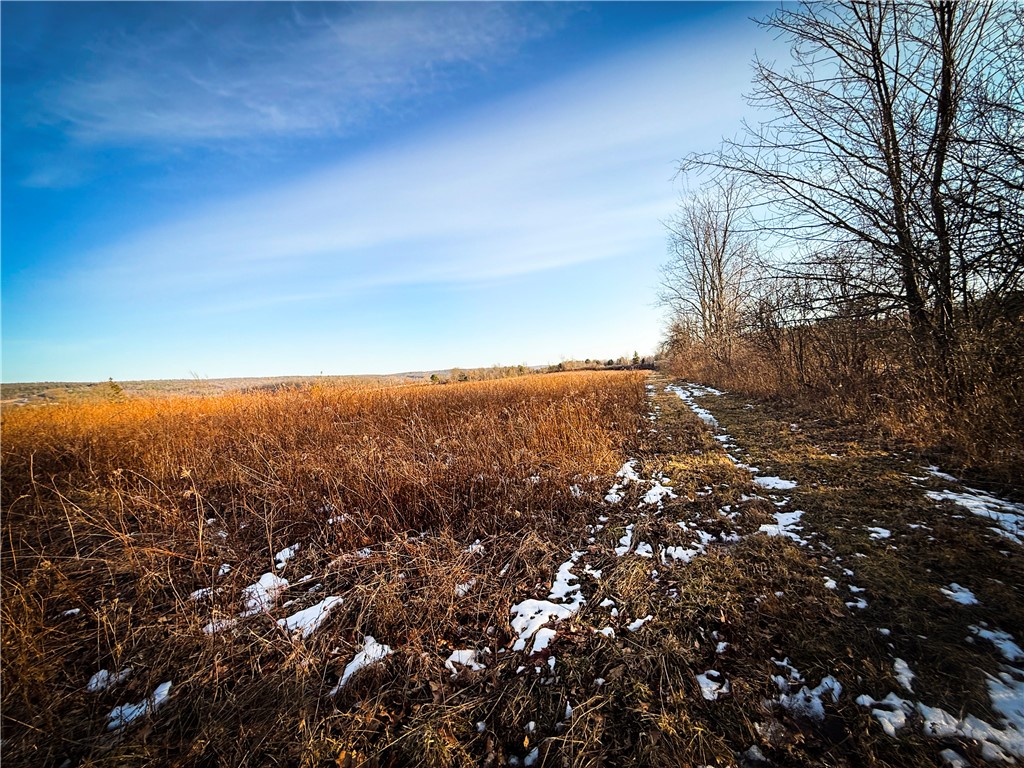 V/l-1 Lodi Center Road Lodi, NY 14860 - Photo 38 of 50