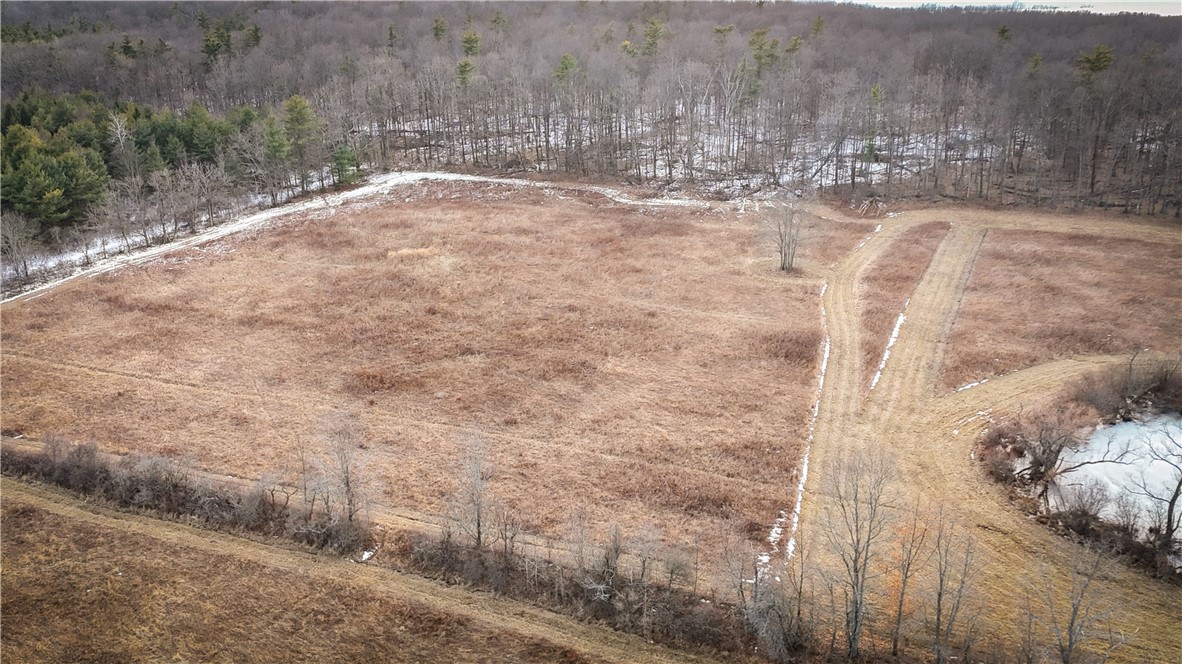 V/l-1 Lodi Center Road Lodi, NY 14860 - Photo 43 of 50