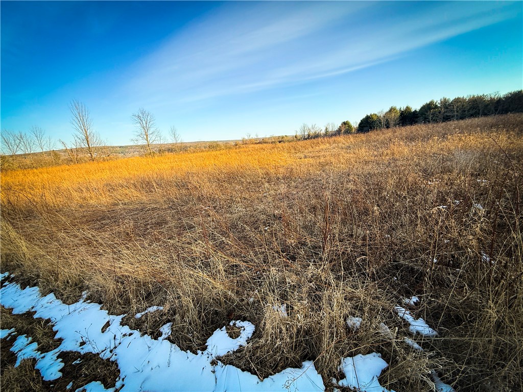 V/l-1 Lodi Center Road Lodi, NY 14860 - Photo 45 of 50