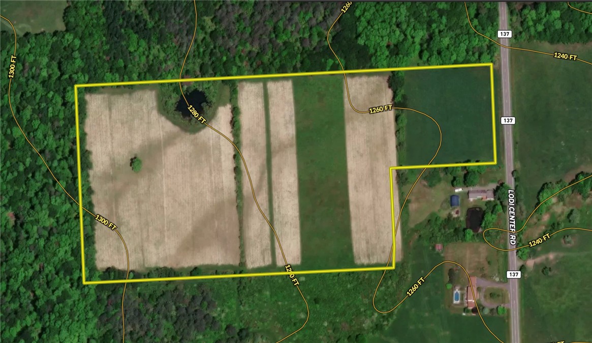 V/l-1 Lodi Center Road Lodi, NY 14860 - Photo 47 of 50