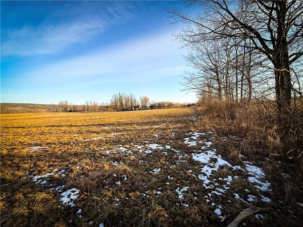 $199,900 | V/l-1 Lodi Center Road, Lodi, NY 14860