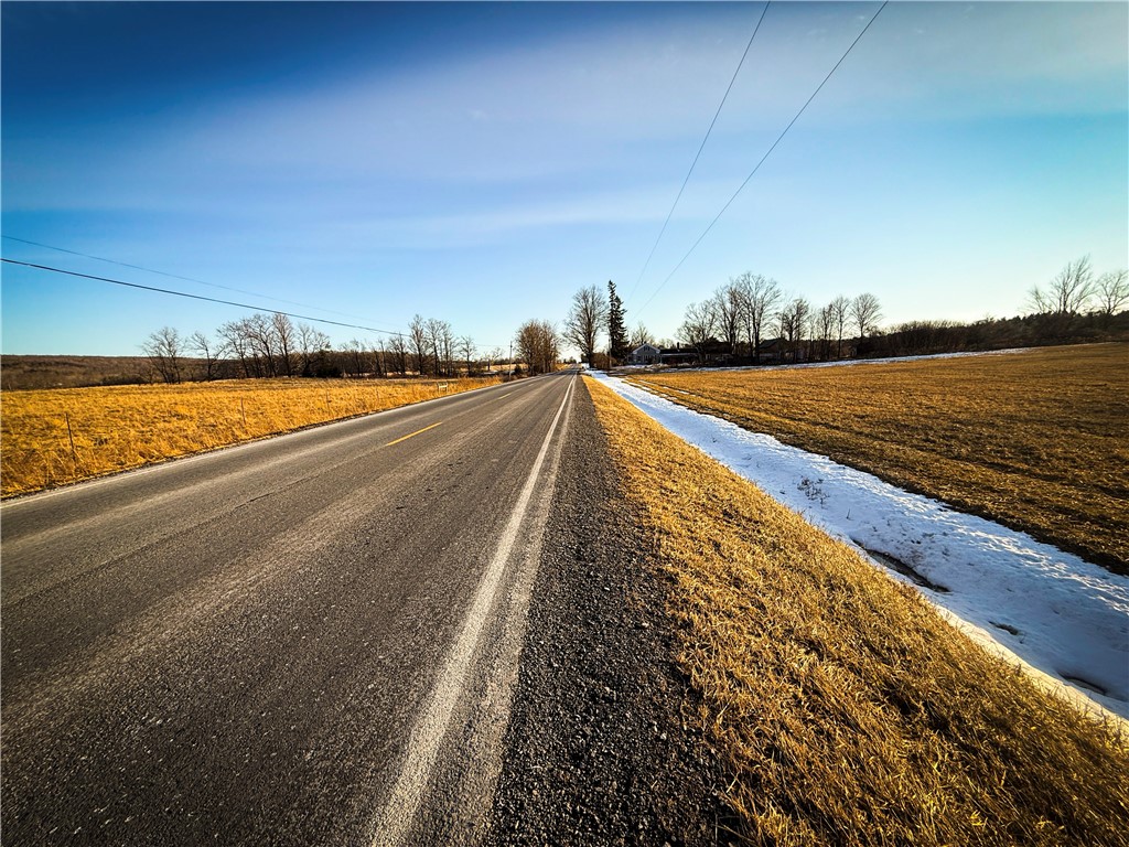 V/l-1 Lodi Center Road Lodi, NY 14860 - Photo 7 of 50