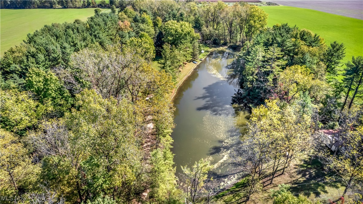 4032 Hanford Road Wakeman, OH 44889 - Photo 48 of 50 Bird's eye view with a water view