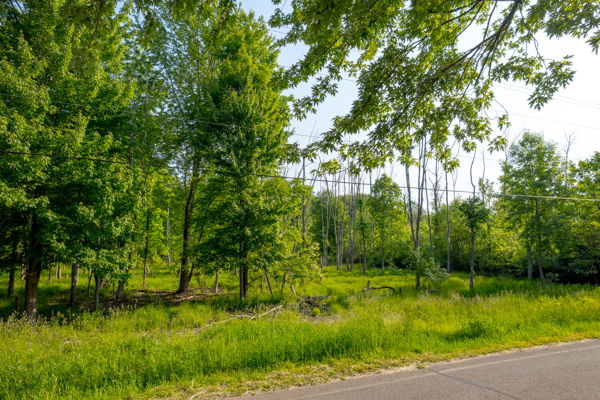 0 Wiley Road Fennville, MI 49408 - Photo 12 of 12 WM0wiley-35