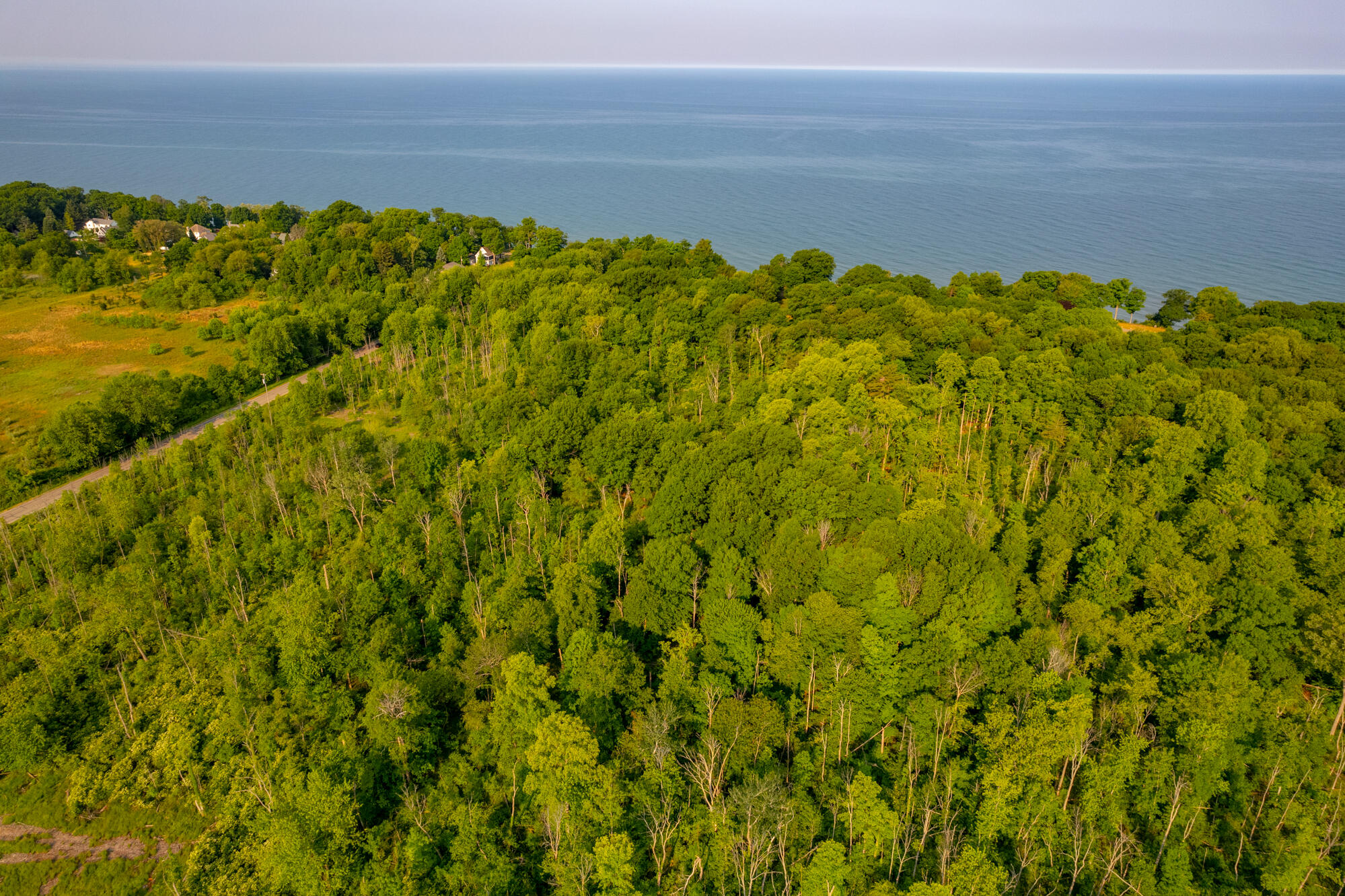 0 Wiley Road Fennville, MI 49408 - Photo 4 of 12 WM0wiley-27