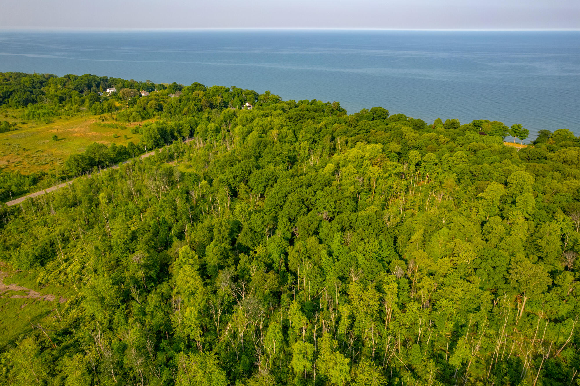 0 Wiley Road Fennville, MI 49408 - Photo 5 of 12 WM0wiley-28