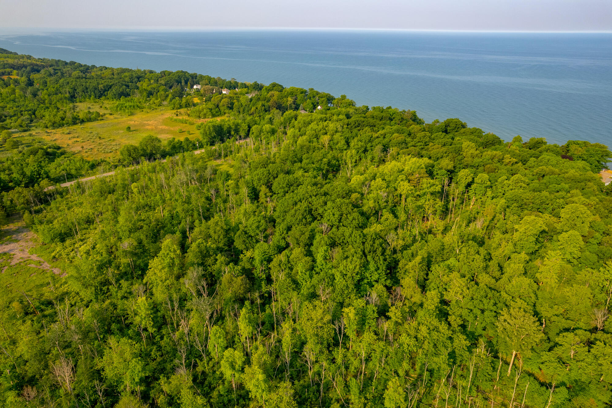 0 Wiley Road Fennville, MI 49408 - Photo 6 of 12 WM0wiley-29