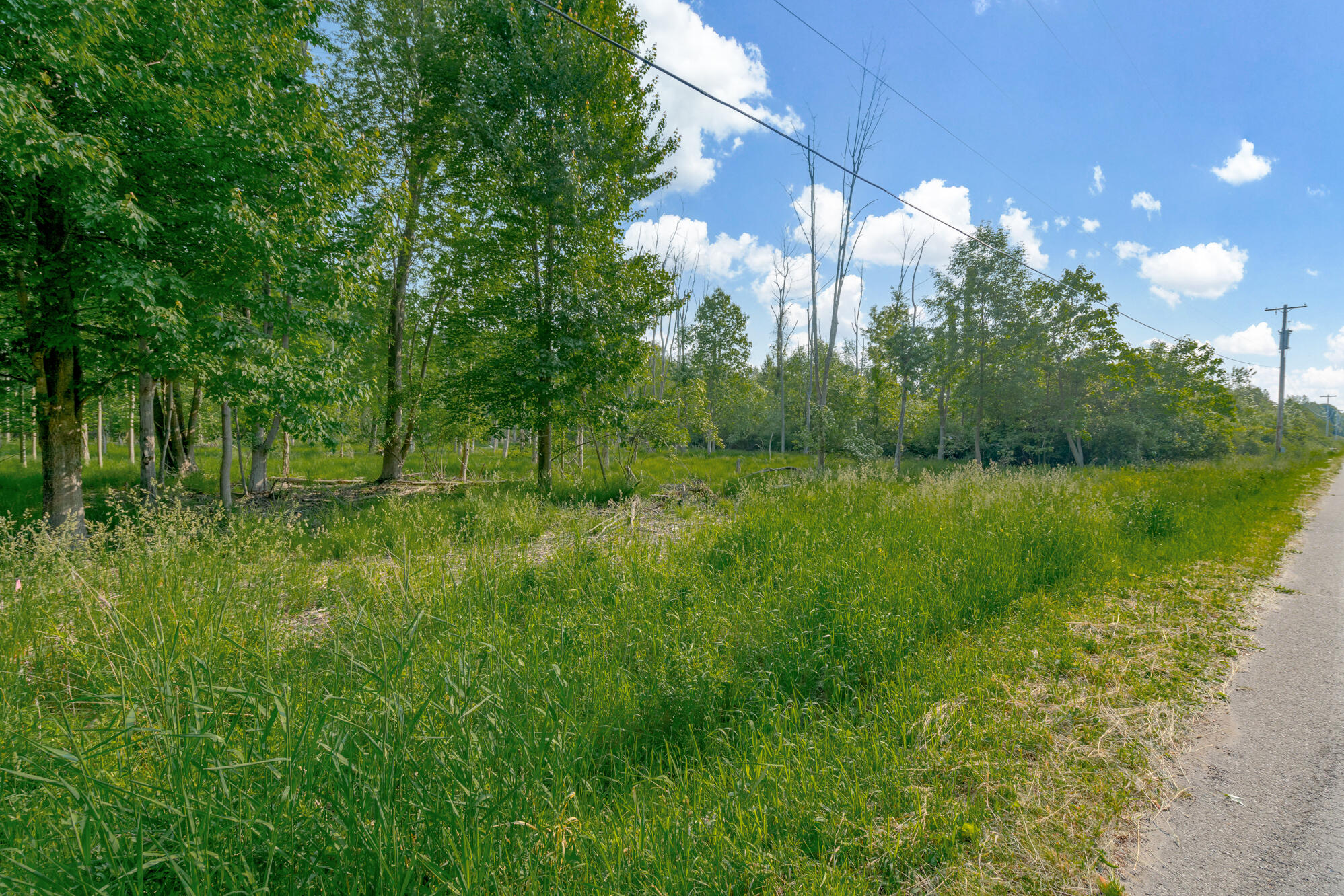 0 Wiley Road Fennville, MI 49408 - Photo 8 of 12 WM0wiley-31