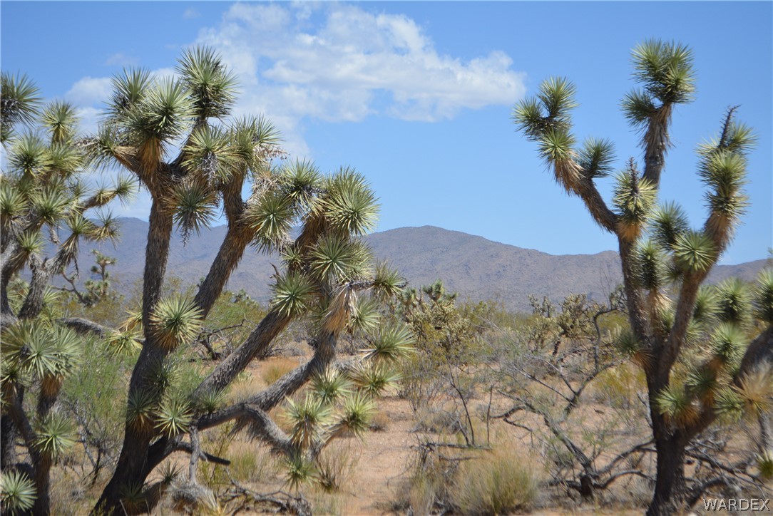 2089 Roadrunner Yucca, AZ 86438 - Photo 1 of 50