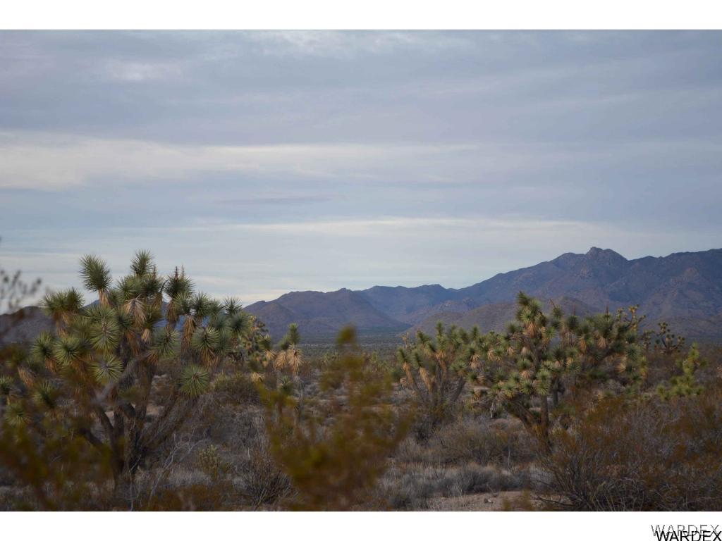 2089 Roadrunner Yucca, AZ 86438 - Photo 11 of 50
