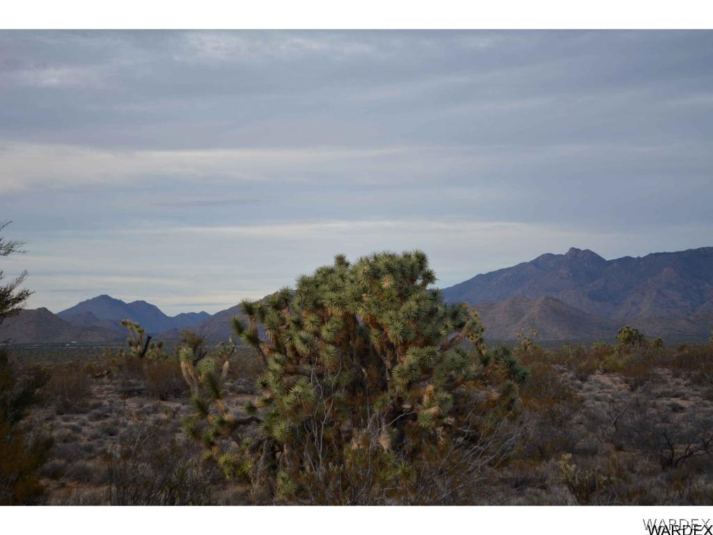 2089 Roadrunner Yucca, AZ 86438 - Photo 12 of 50