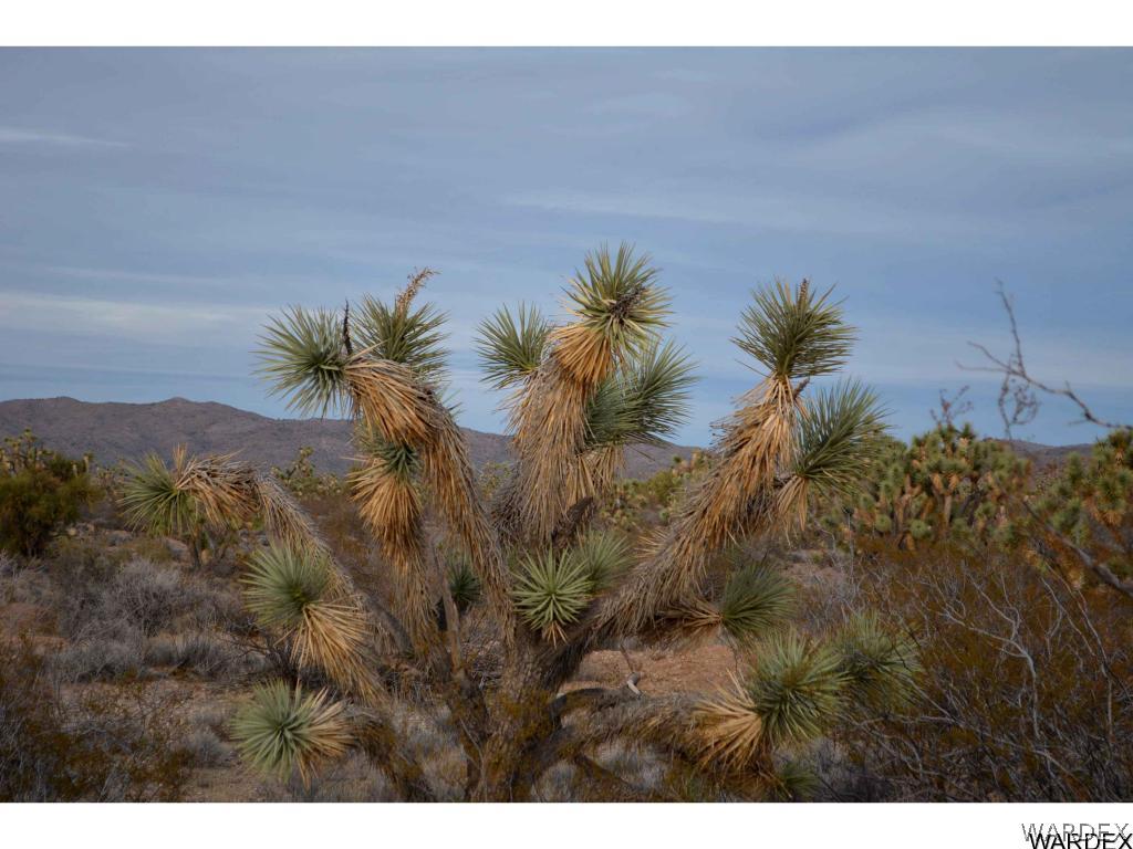 2089 Roadrunner Yucca, AZ 86438 - Photo 13 of 50