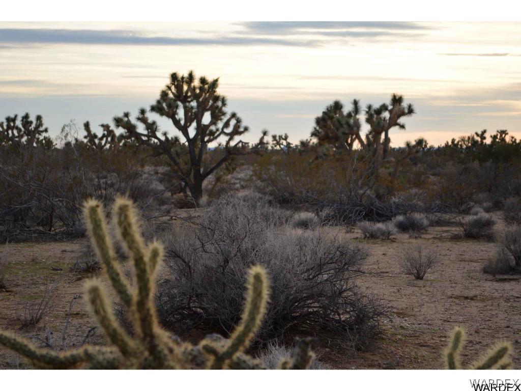2089 Roadrunner Yucca, AZ 86438 - Photo 14 of 50