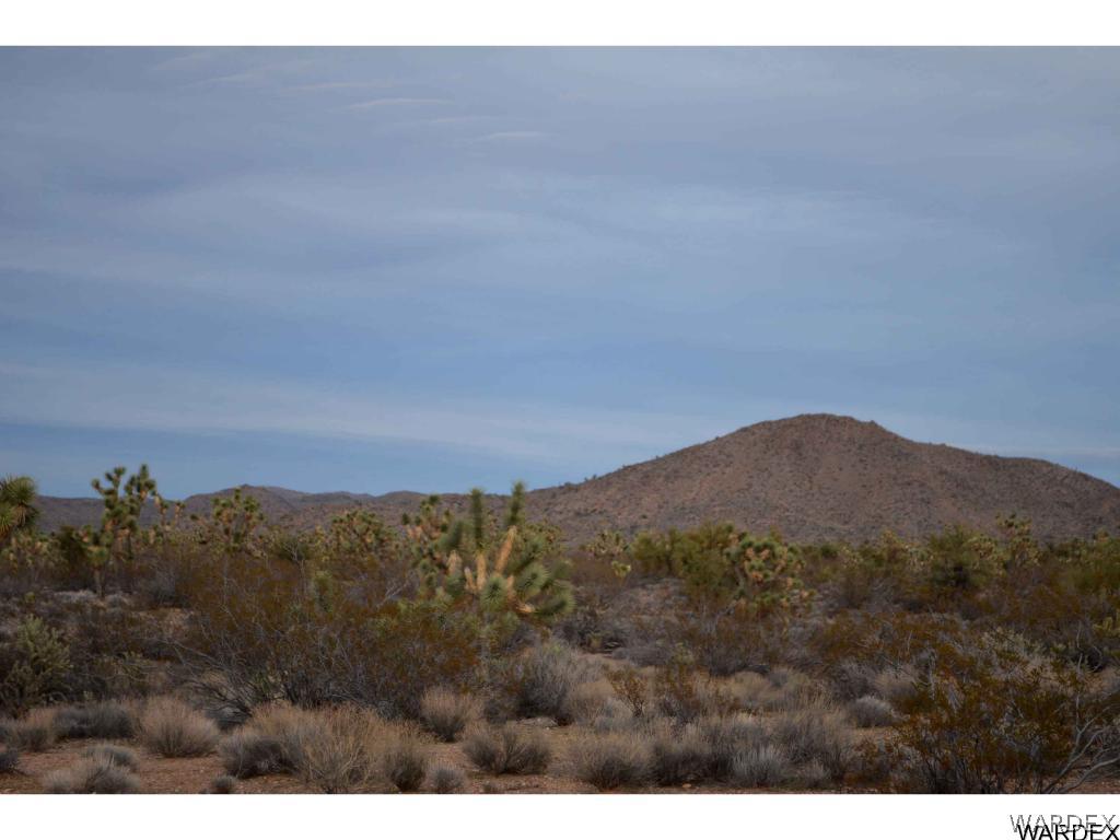 2089 Roadrunner Yucca, AZ 86438 - Photo 15 of 50