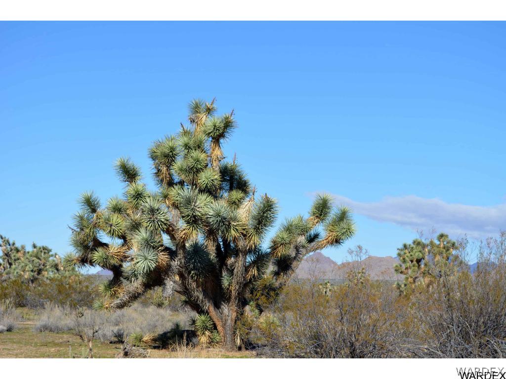 2089 Roadrunner Yucca, AZ 86438 - Photo 16 of 50