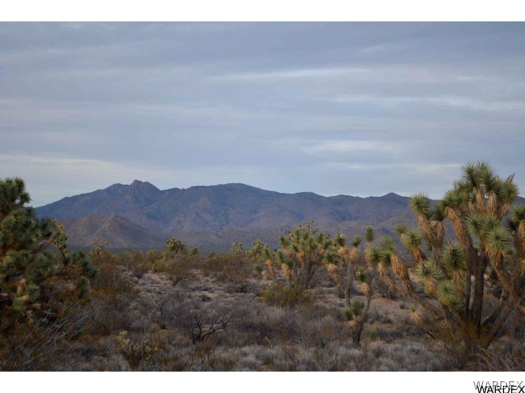 2089 Roadrunner Yucca, AZ 86438 - Photo 17 of 50