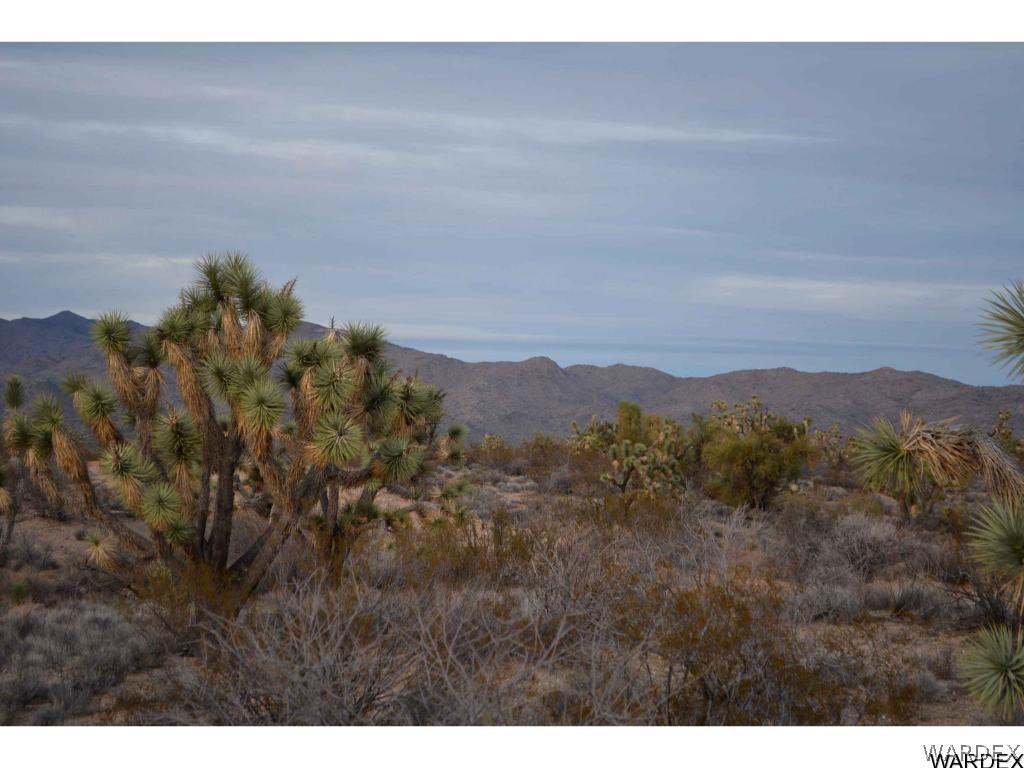 2089 Roadrunner Yucca, AZ 86438 - Photo 18 of 50