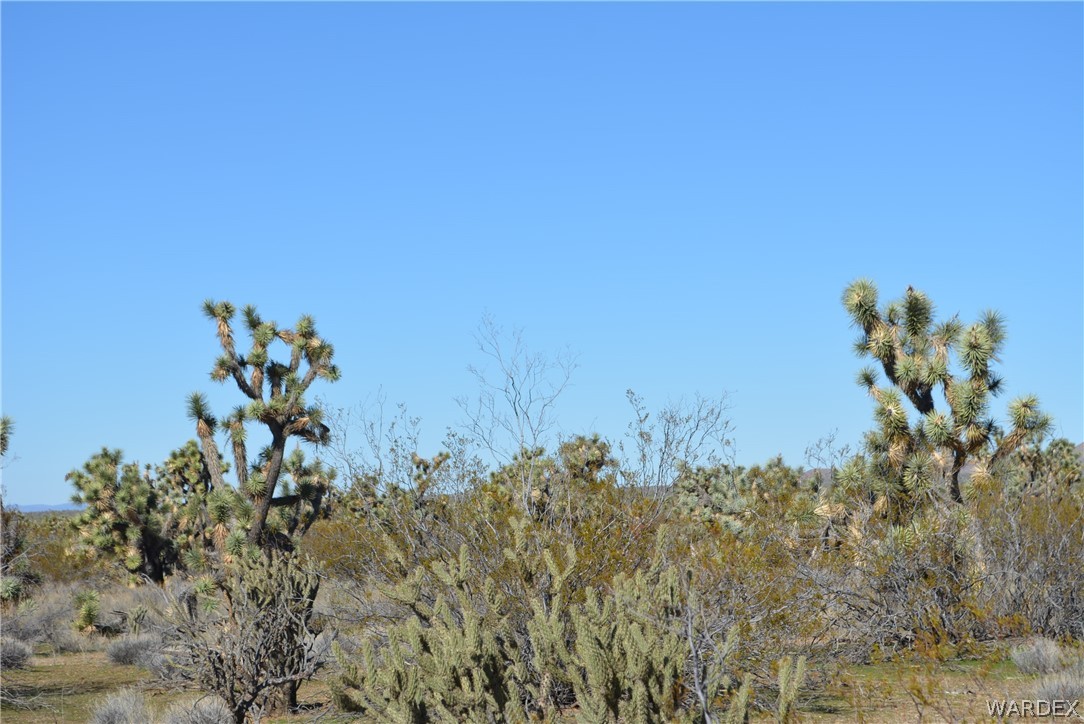 2089 Roadrunner Yucca, AZ 86438 - Photo 20 of 50