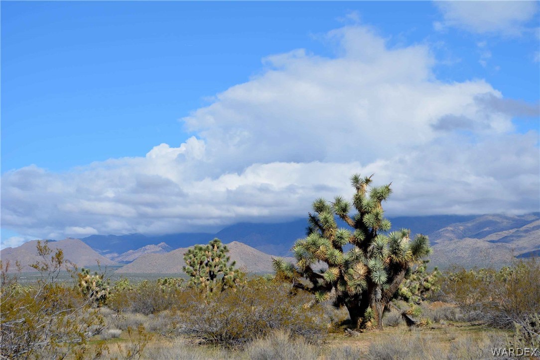 2089 Roadrunner Yucca, AZ 86438 - Photo 2 of 50