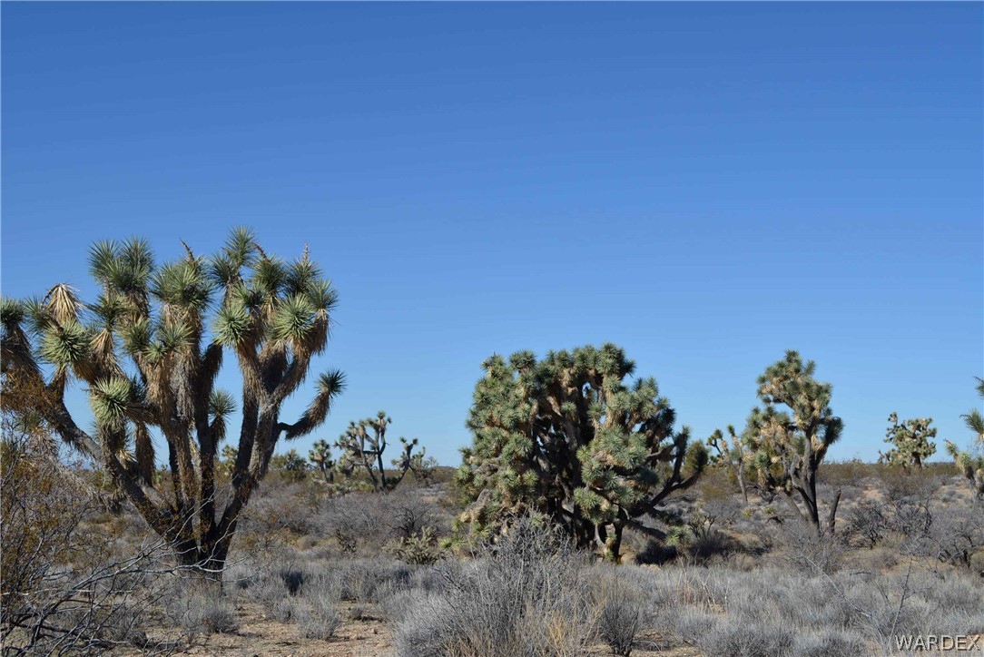 2089 Roadrunner Yucca, AZ 86438 - Photo 22 of 50
