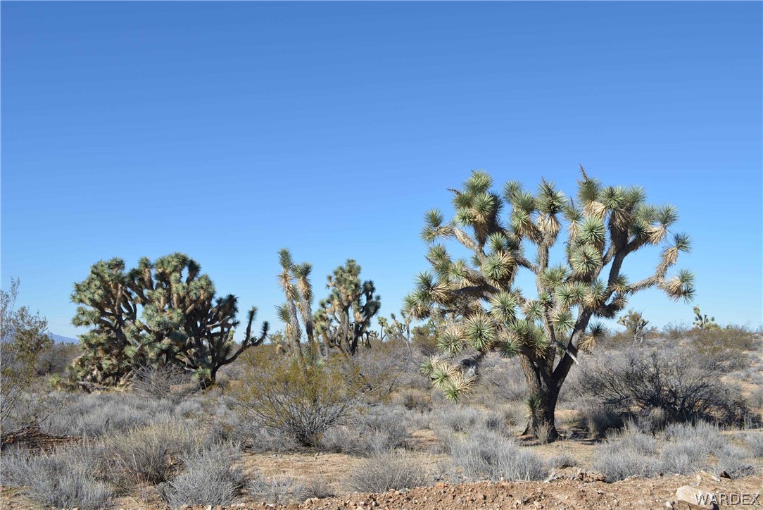 2089 Roadrunner Yucca, AZ 86438 - Photo 23 of 50
