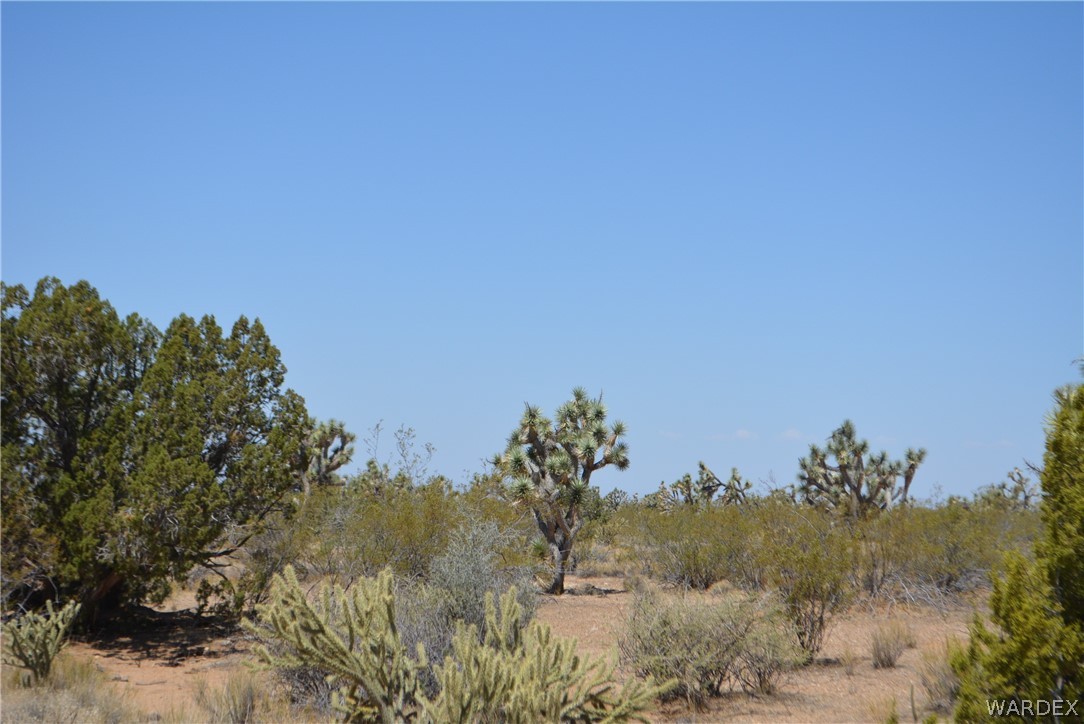 2089 Roadrunner Yucca, AZ 86438 - Photo 26 of 50