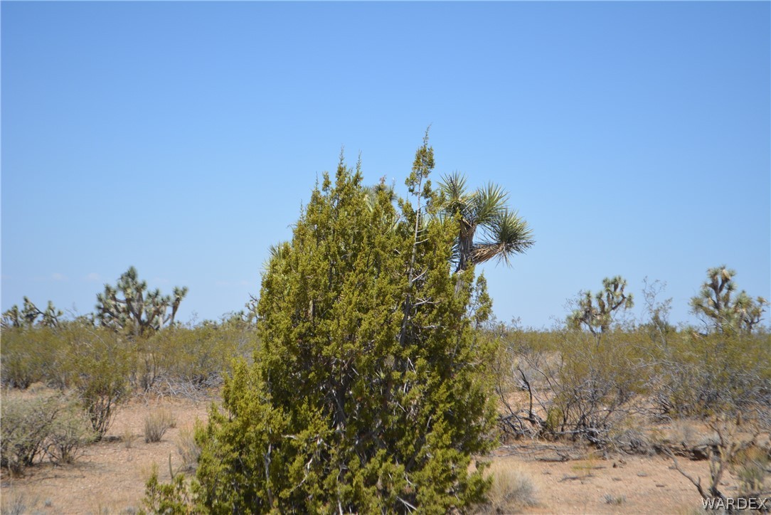 2089 Roadrunner Yucca, AZ 86438 - Photo 27 of 50