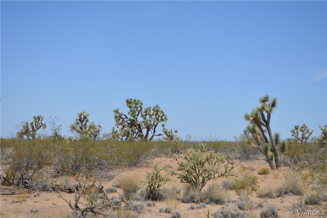 2089 Roadrunner Yucca, AZ 86438 - Photo 28 of 50