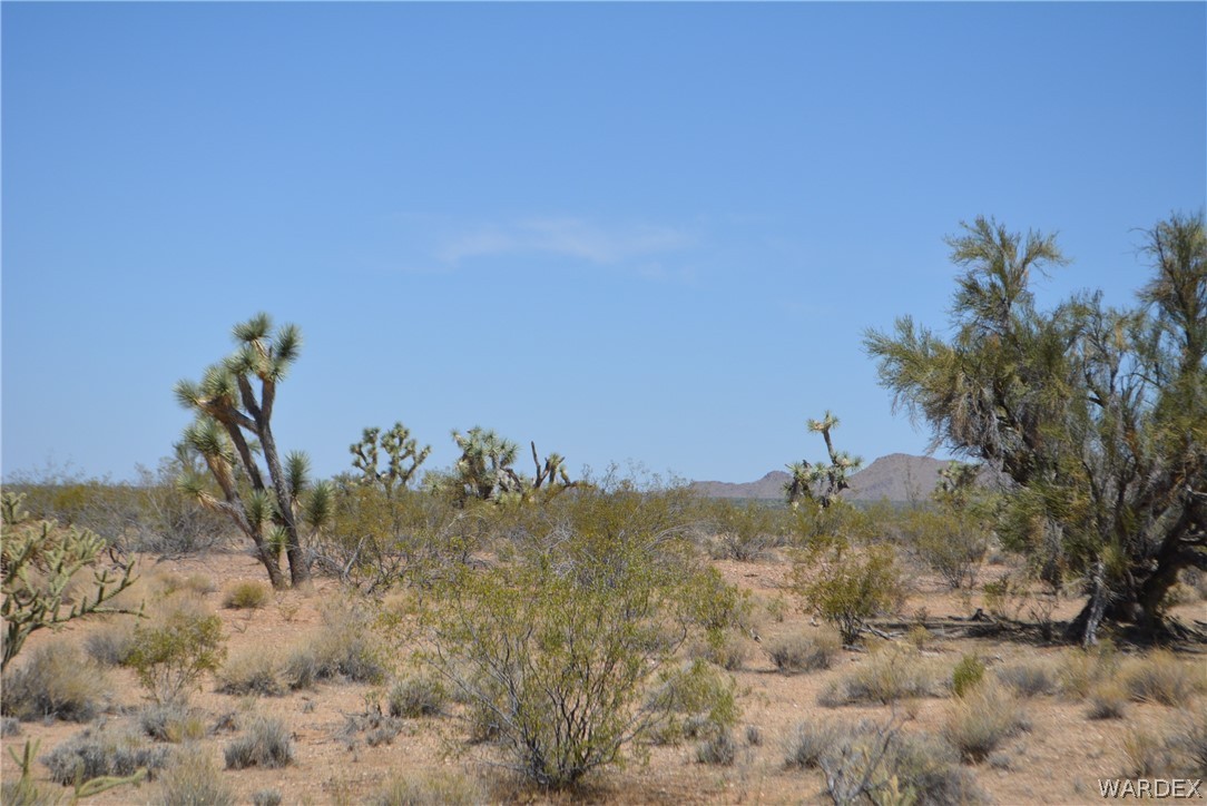 2089 Roadrunner Yucca, AZ 86438 - Photo 29 of 50