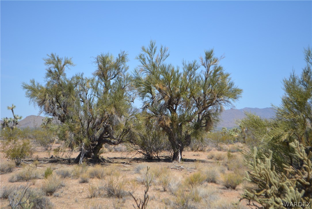 2089 Roadrunner Yucca, AZ 86438 - Photo 30 of 50