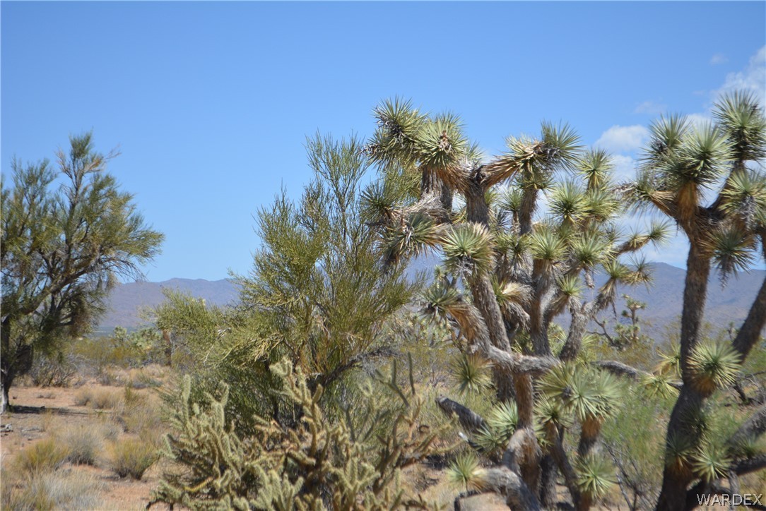 2089 Roadrunner Yucca, AZ 86438 - Photo 31 of 50