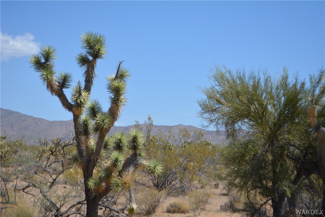 2089 Roadrunner Yucca, AZ 86438 - Photo 32 of 50