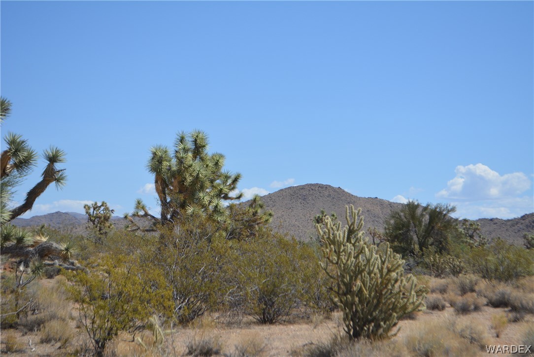 2089 Roadrunner Yucca, AZ 86438 - Photo 34 of 50