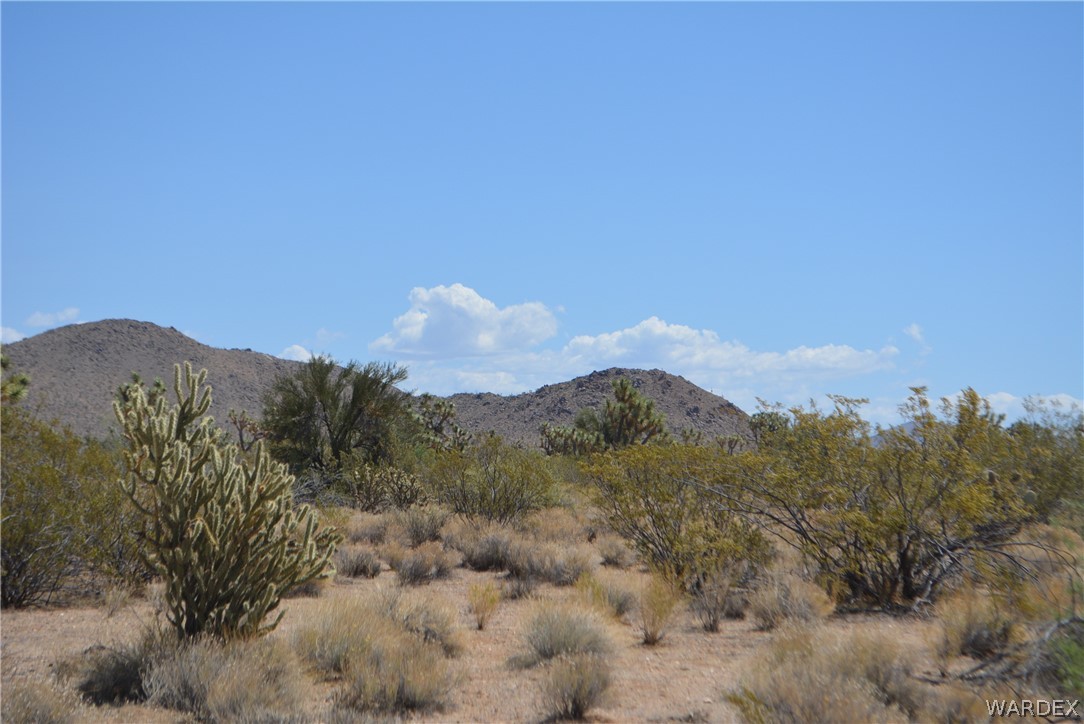 2089 Roadrunner Yucca, AZ 86438 - Photo 35 of 50