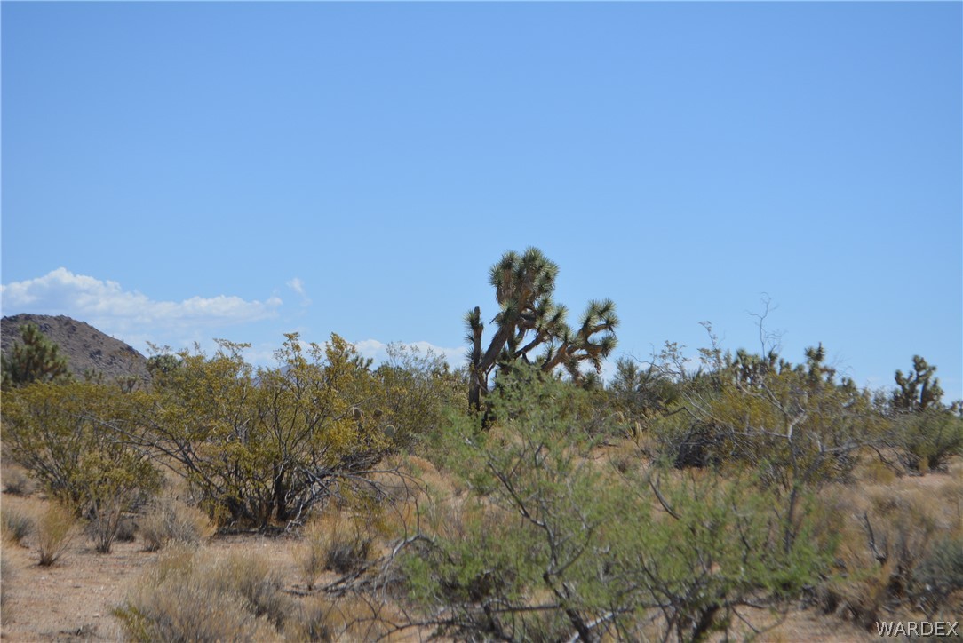 2089 Roadrunner Yucca, AZ 86438 - Photo 36 of 50