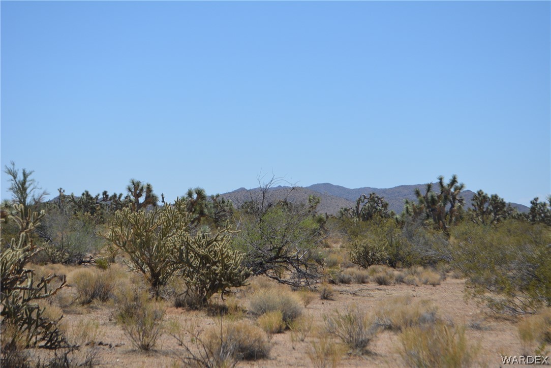2089 Roadrunner Yucca, AZ 86438 - Photo 37 of 50