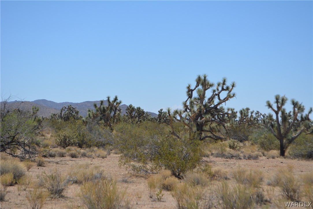 2089 Roadrunner Yucca, AZ 86438 - Photo 38 of 50
