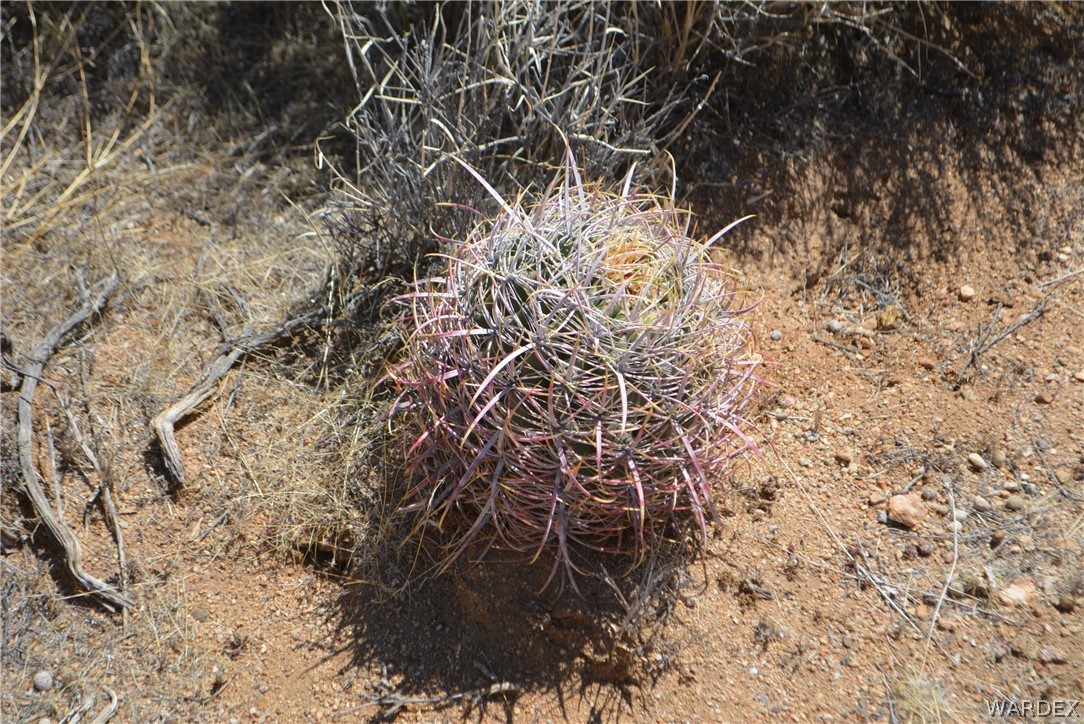 2089 Roadrunner Yucca, AZ 86438 - Photo 39 of 50