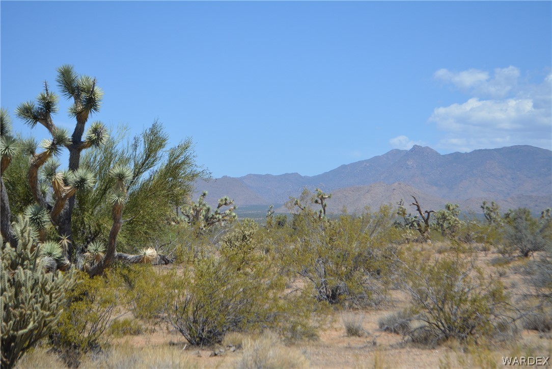 2089 Roadrunner Yucca, AZ 86438 - Photo 40 of 50