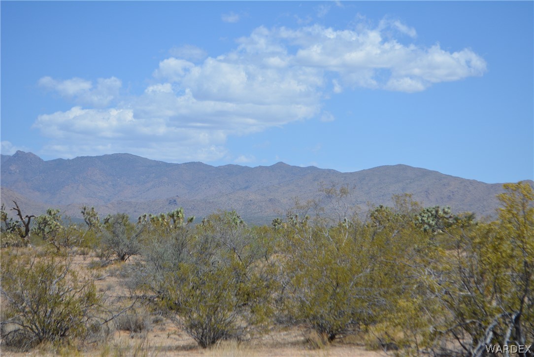 2089 Roadrunner Yucca, AZ 86438 - Photo 41 of 50