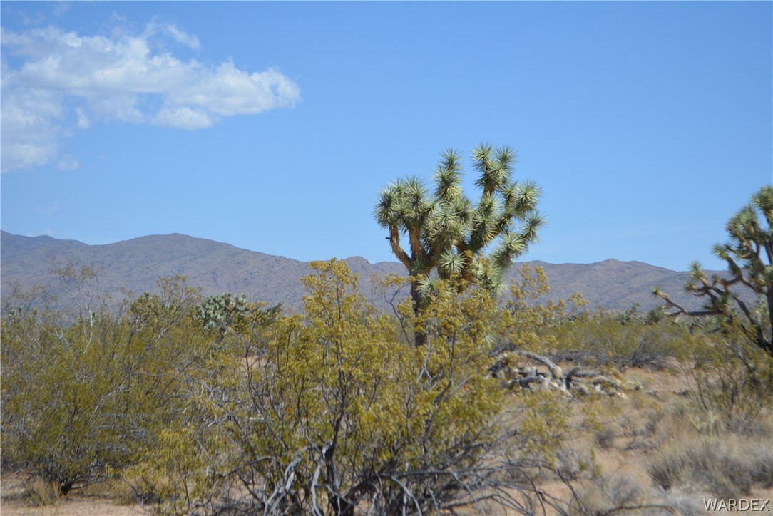 2089 Roadrunner Yucca, AZ 86438 - Photo 42 of 50