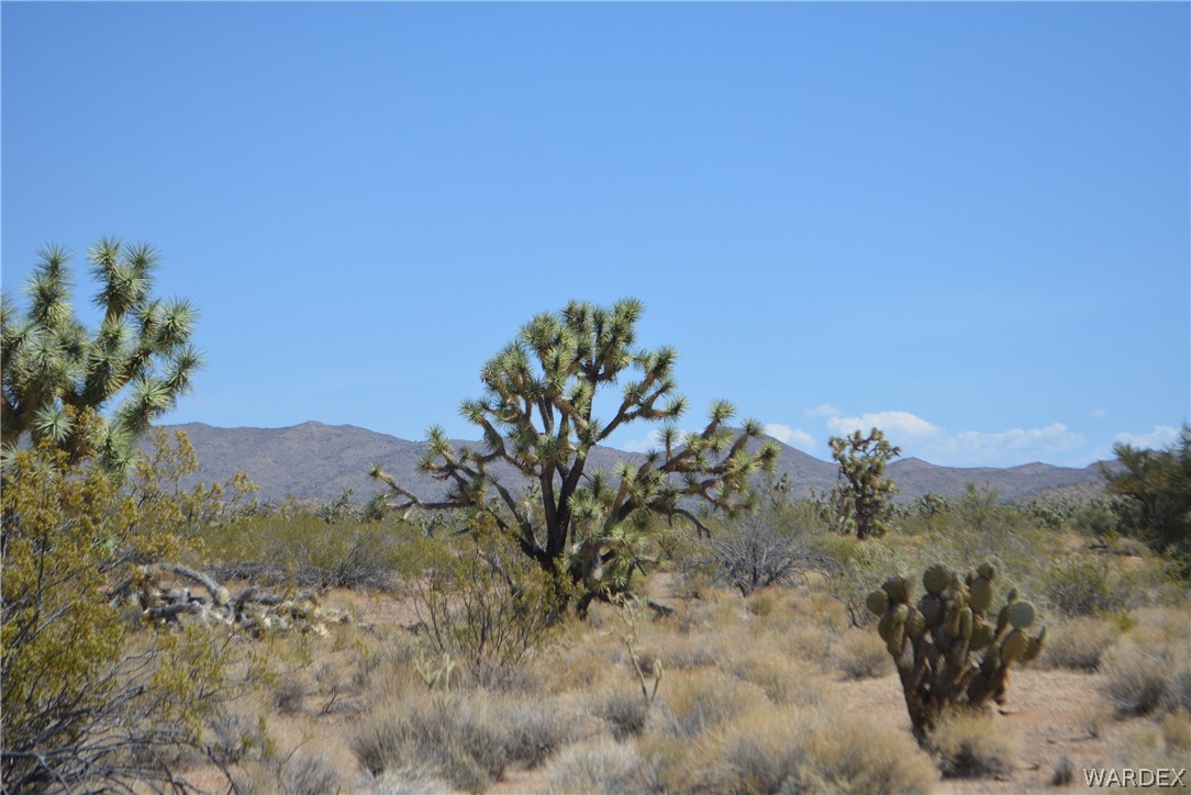 2089 Roadrunner Yucca, AZ 86438 - Photo 43 of 50