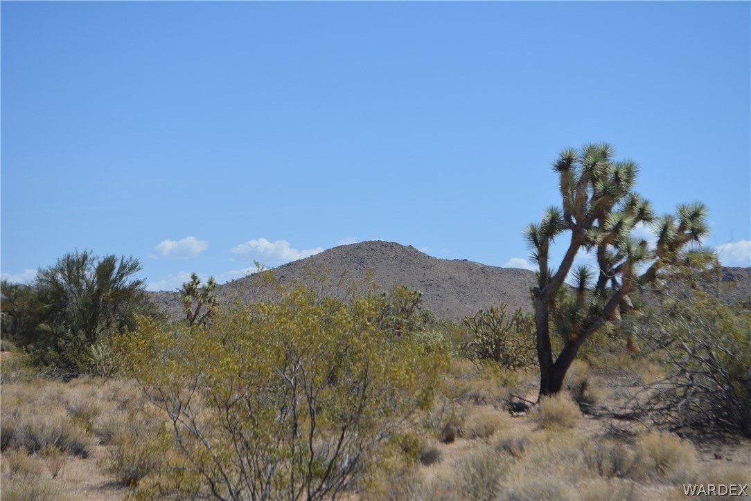 2089 Roadrunner Yucca, AZ 86438 - Photo 44 of 50